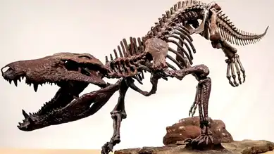 Patagonya'da Dinozor Avlayan Dev Timsah Fosili Keşfedildi!